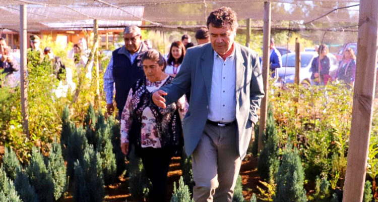 SOFO Araucanía exige soluciones por crisis en mercado cerealero a ministro de Agricultura