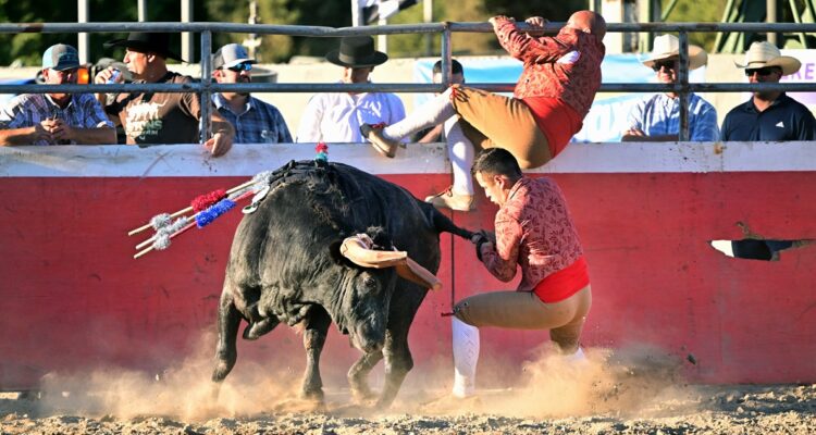 A comienzos de febrero de 2024, un Tribunal revocó la suspensión provisional de las corridas de toros y el rodeo en Ciudad de México.