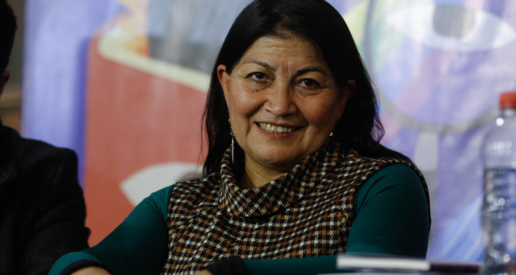 Usach deberá entregar antecedentes de académica y exconvencional Elisa Loncon