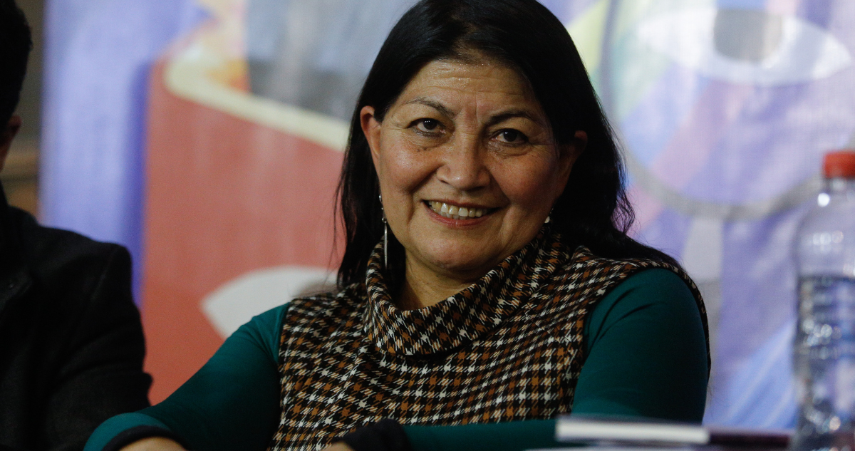 Usach deberá entregar antecedentes de académica y exconvencional Elisa Loncon