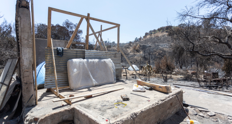 Sector de Viña del Mar afectado por incendio que derivó en recurso contra el Gobierno