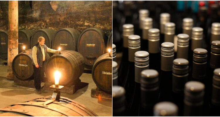 ¿Por qué europeos están tomando menos? La alerta en Viejo Continente por vinos que se están acumulando