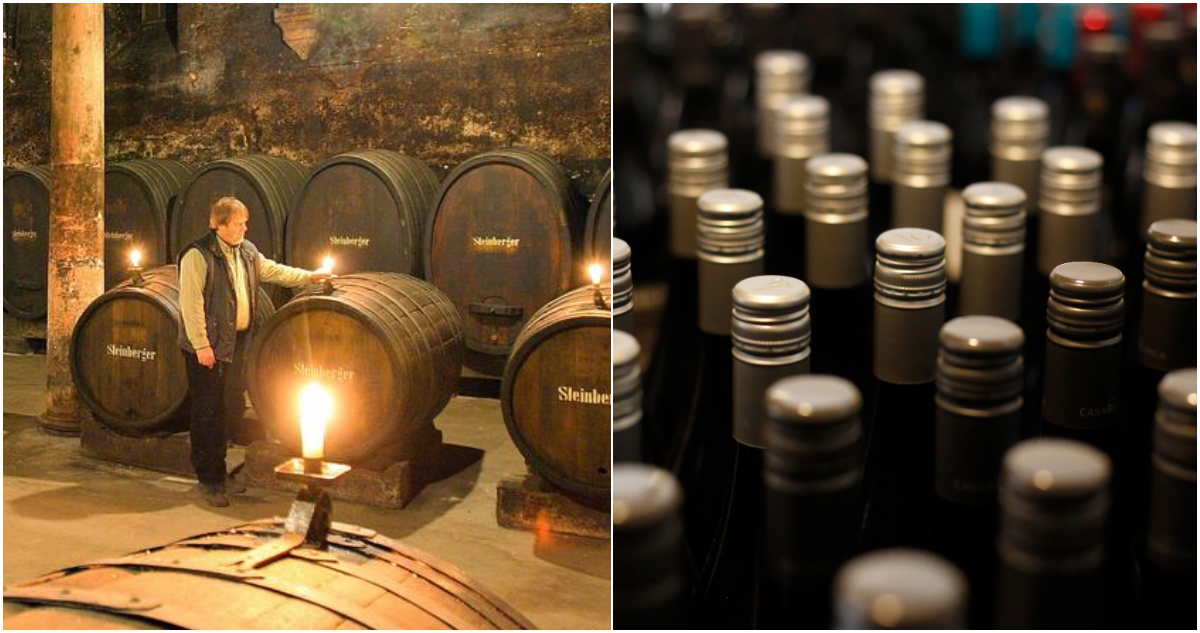¿Por qué europeos están tomando menos? La alerta en Viejo Continente por vinos que se están acumulando