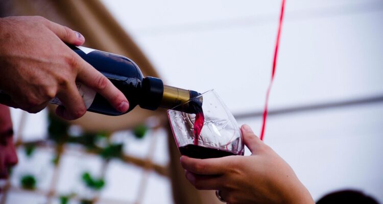 Fiesta de la Vendimia Valle del Maipo 2024