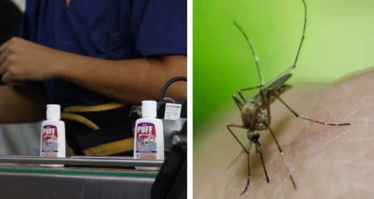 Pyme argentina fabrica repelente de mosquitos a base de citronela ante escasez por crisis del dengue