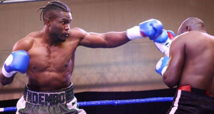 boxeador brutal KO ardi ndembo