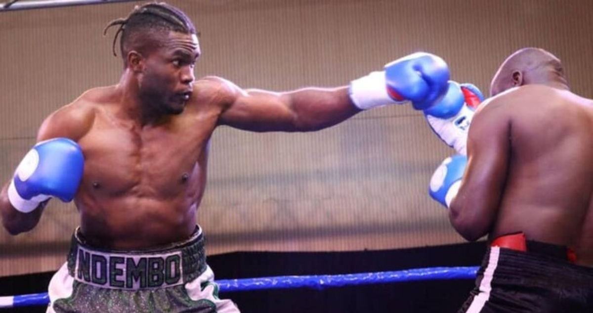 boxeador brutal KO ardi ndembo