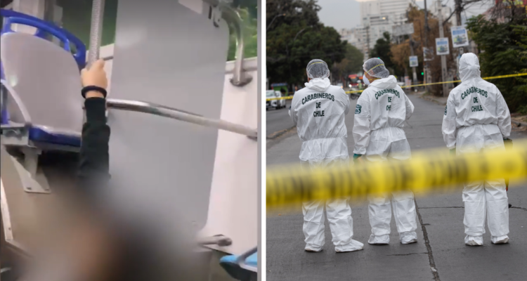 bus red quinta normal