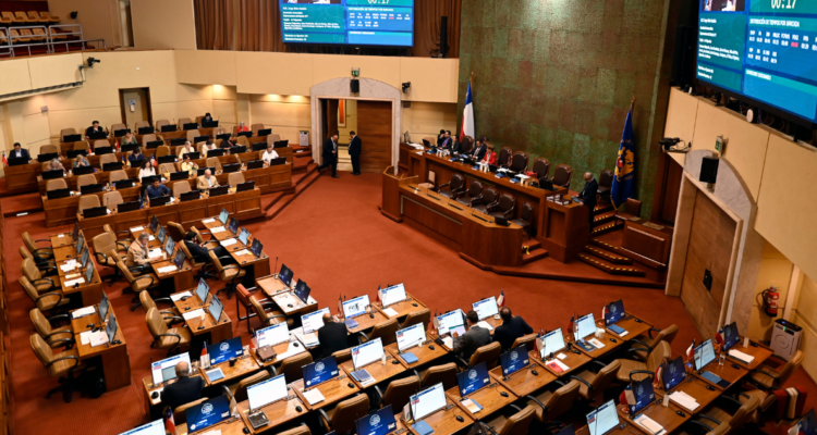 cámara de diputados