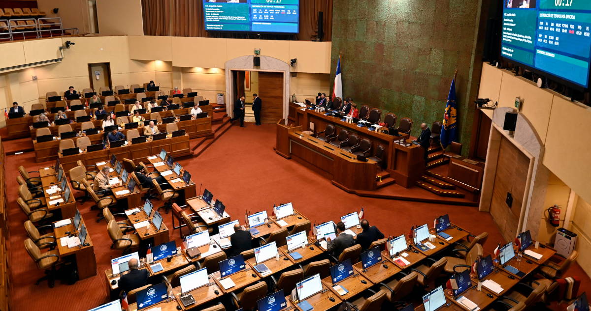 cámara de diputados