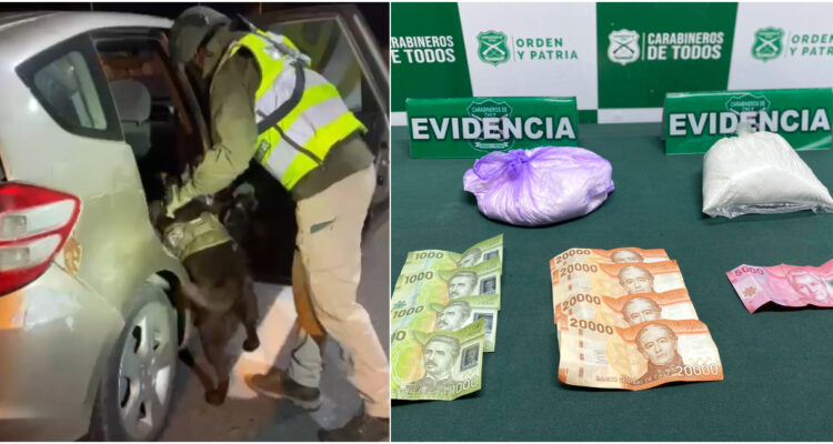Can del OS7 descubre cargamento de cocaína que se dirigía a Concepción: 3 personas detenidas