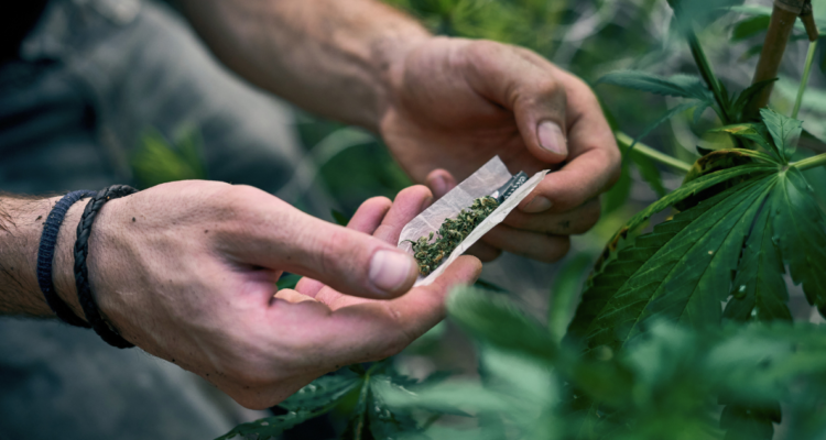 legalización cannabis marihuana en Alemania
