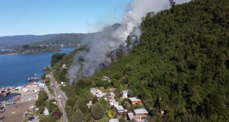 Detienen a 2 jóvenes que habrían participado de manera directa en incendio en costa de Valdivia