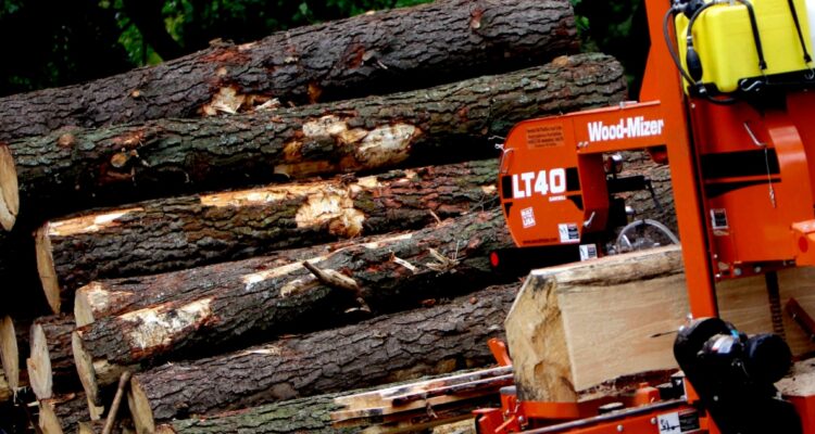 Desbaratan “emprendimiento criminal” dedicado al robo y procesamiento de madera en Collipulli