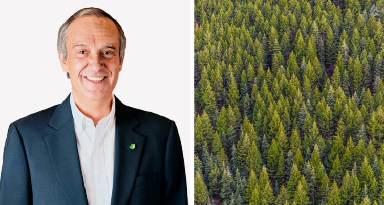 fotografía de luis felipe gazitúa, a la izquierda una foto contexto de bosque