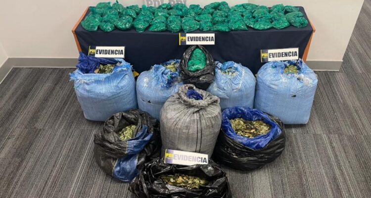 “El Rey de la coca”: tres extranjeros detenidos por encomienda con 90 kilos de hojas