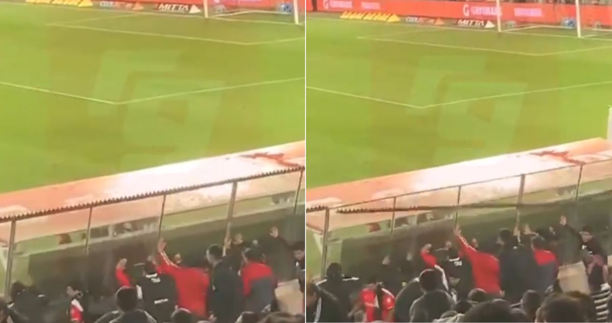 Hinchas de Colo Colo se indignaron ante Cobreloa y destrozaron protección perimetral tras expulsión de Rodolfo González