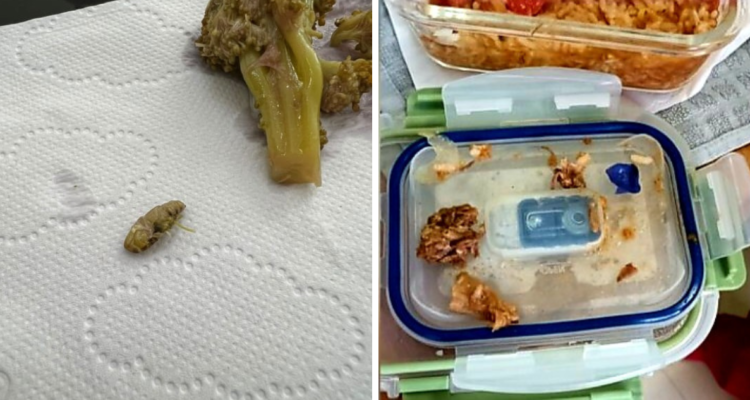 Comida contaminada en Hospital Regional de Concepción