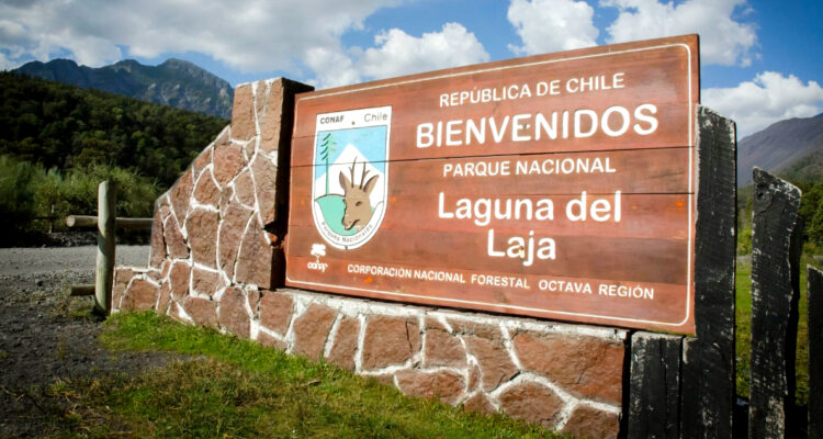Conaf llama a comprar anticipadamente entradas para el Parque Nacional Laguna del Laja