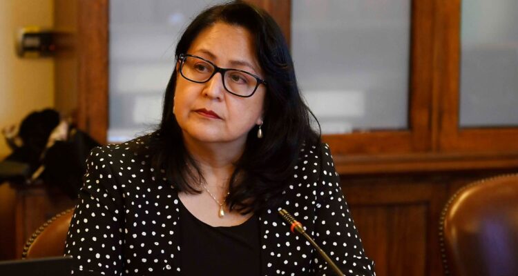 Contralora (s) revela irregularidades en el SII y descarta tener vínculos con Hermosilla y Villalobos