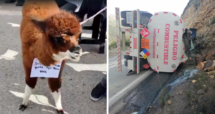 derrame de petróleo