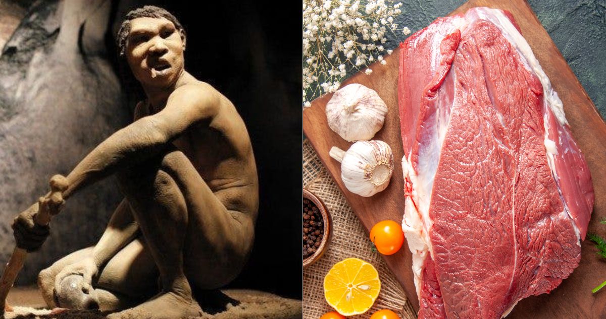 Dieta paleolítica: en qué consiste, cuáles son los alimentos que incluye y cómo afecta al cuerpo