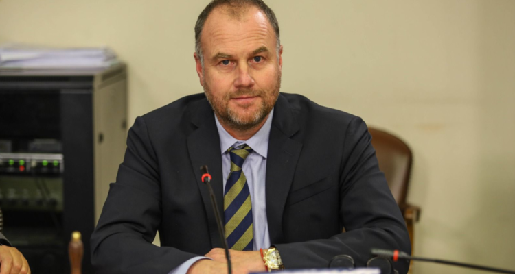 perros asilvestrados