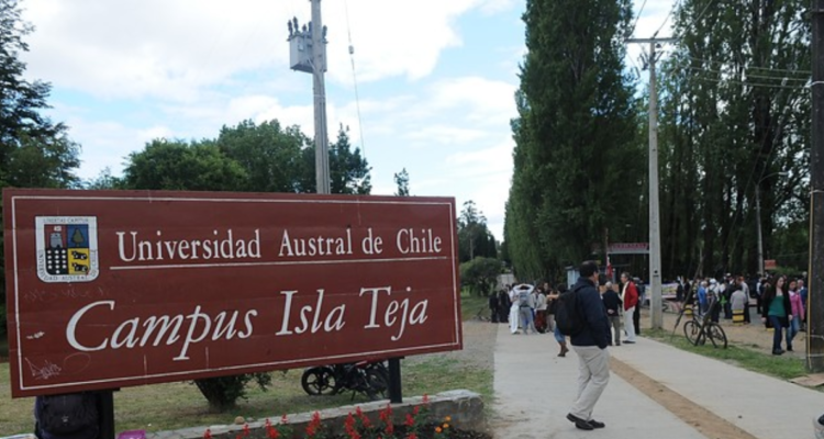 Sindicato de Trabajadores de la UACh advierte cerca de 700 despidos por plan de recuperación económica