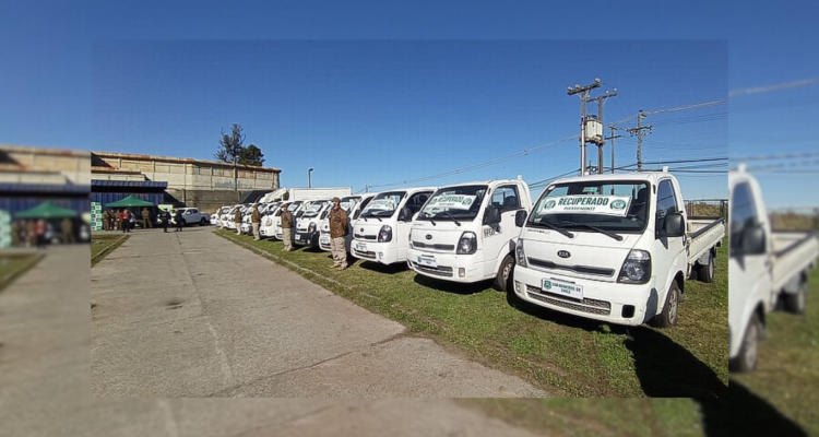 Carabineros incauta 15 camiones robados en Puerto Montt: hubo 17 detenidos