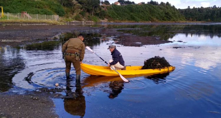 Incautan paño de 70 metros de red de pesca instalado ilegalmente en humedal urbano de Chiloé