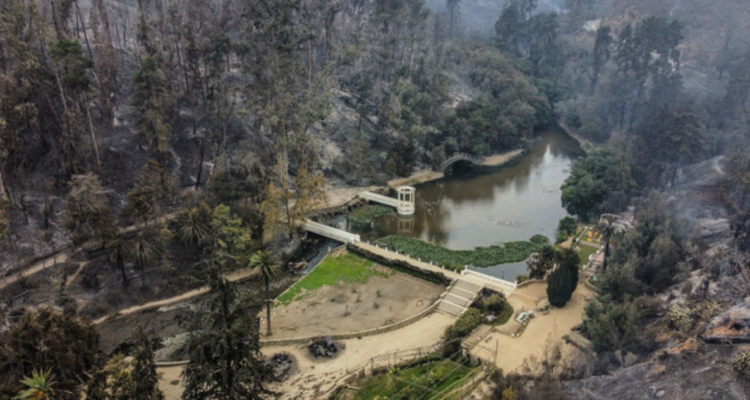 Jardín Botánico anuncia reapertura parcial tras a más de dos meses de fatal incendio en Viña del Mar