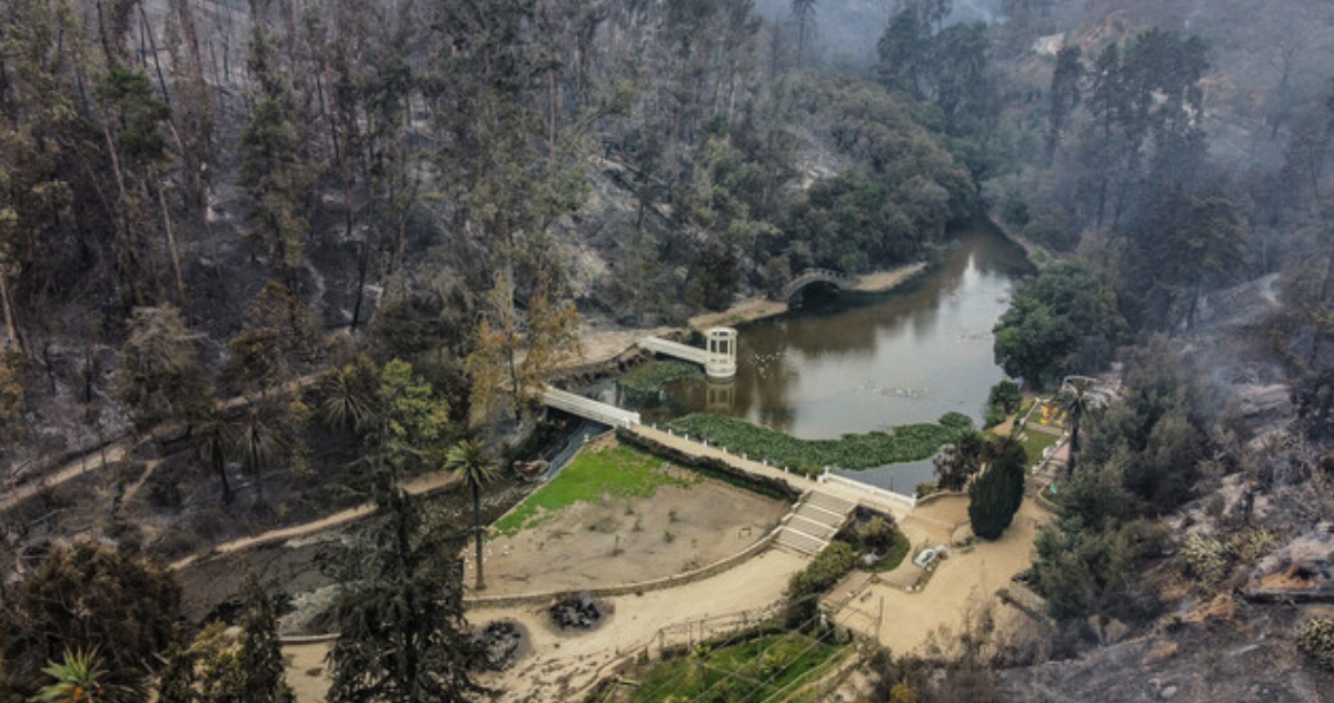 Jardín Botánico anuncia reapertura parcial tras a más de dos meses de fatal incendio en Viña del Mar