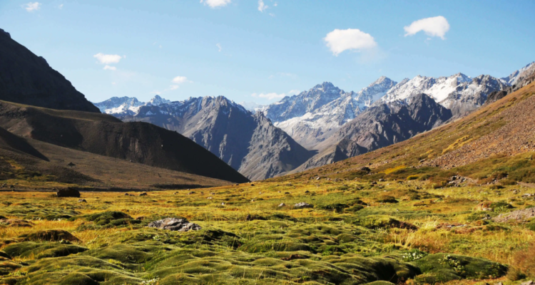 Tensión en provincia de San Felipe ante posible nuevo proyecto minero en Parque Andino Juncal