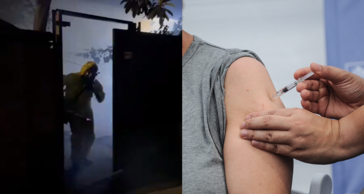 Dengue en Chile: Minsal realiza fumigación en terminal de Los Andes y evalúa vacunación para Rapa Nui