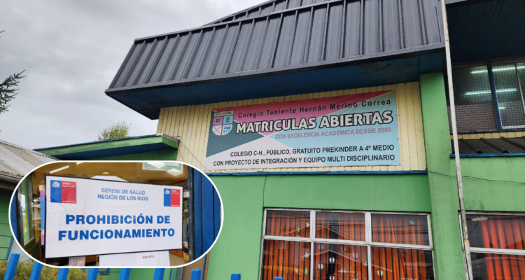 Prohíben funcionamiento total de colegio en Valdivia tras hallar nuevamente evidencia de ratones