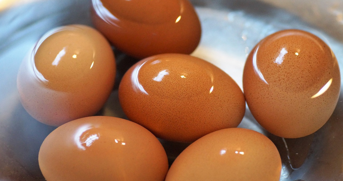 ¿Por qué nunca deberías cocer un huevo junto a otros alimentos?: te podrías enfermar