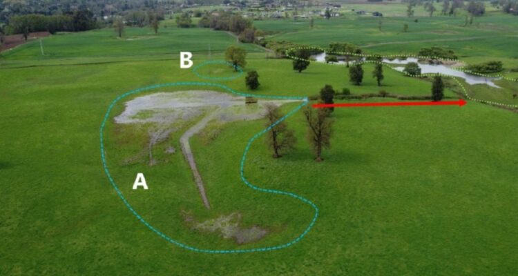 HUMEDAL URBANO OVEJERÍA OSORNO