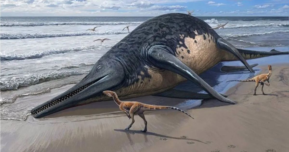 Encuentran fósil de ictiosaurio el reptil marino más grande del que haya registro
