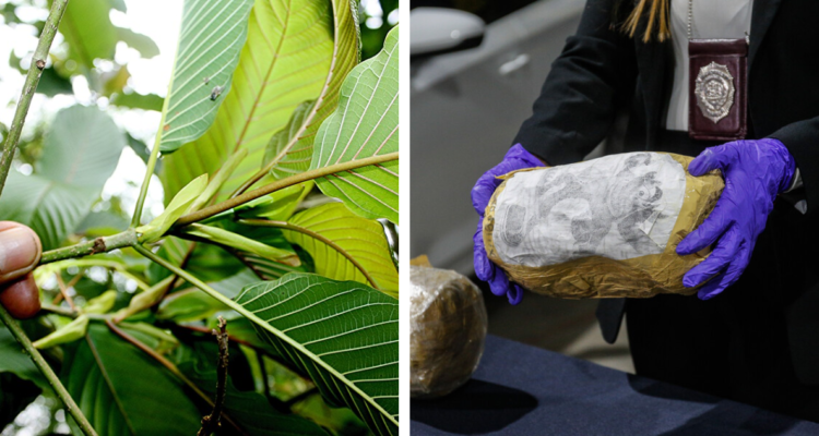 Kratom