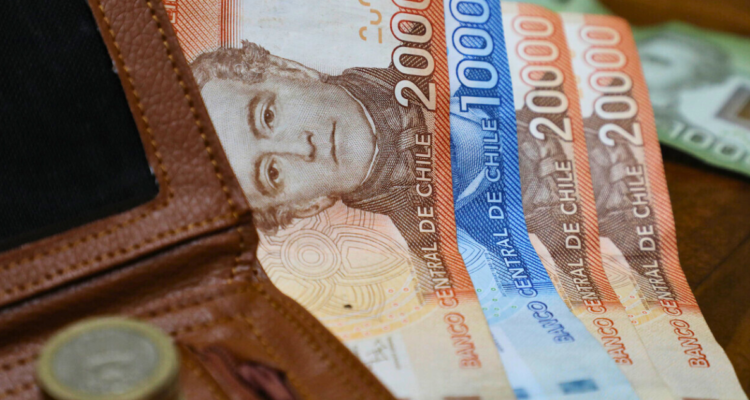 sueldo mínimo ingreso mínimo garantizado