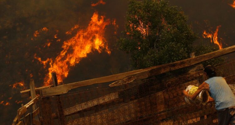 Alerta Roja por incendio forestal en Villarrica