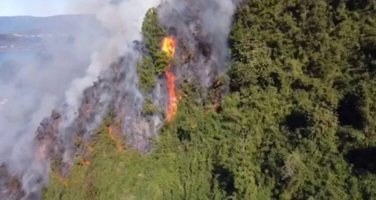 Incendio amenaza viviendas en Niebla: sería producto de lanzamiento de bengala en funeral