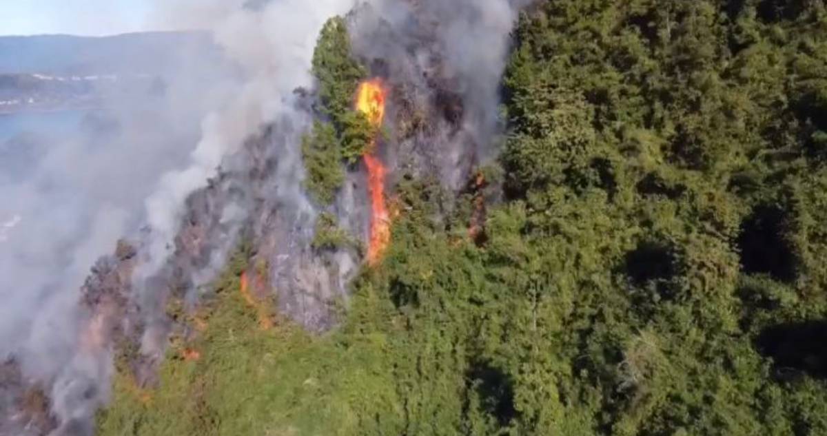 Incendio amenaza viviendas en Niebla: sería producto de lanzamiento de bengala en funeral