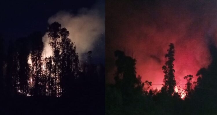 Declaran Alerta Roja por incendio forestal que afecta a sector de Camino La Pólvora en Valparaíso