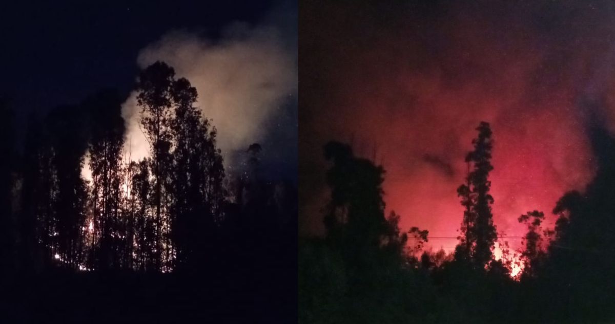Declaran Alerta Roja por incendio forestal que afecta a sector de Camino La Pólvora en Valparaíso