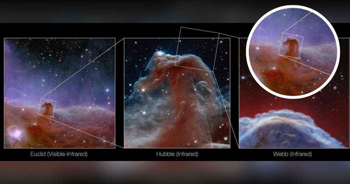 Telescopio James Web capta imágenes sin precedentes de la nebulosa “Cabeza de caballo”