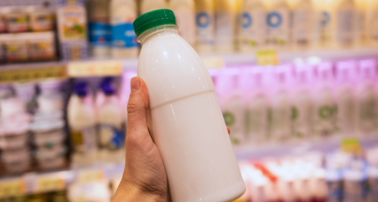 ¿Es mejor consumir productos lácteos bajos en grasa? Esto es lo que los expertos dicen al respecto