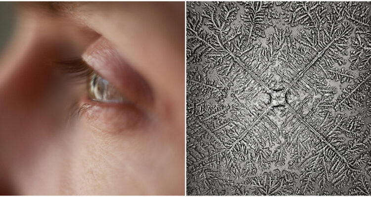 Las belleza de las lágrimas