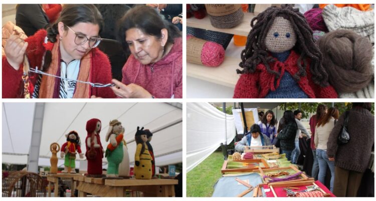 Un “Lanapalooza” en la ciudad: Festival gratuito ofrecerá talleres, charlas y hasta catas de lana