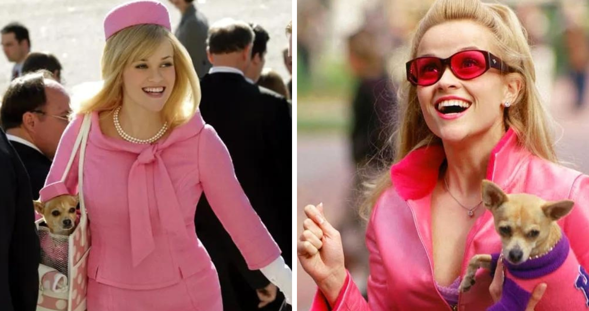 Prime Video se asociará con la actriz Reese Witherspoon, y los creadores de Gossip Girl, Josh Schwartz y Stephanie Savage, para producir una serie ambientada en Legalmente Rubia.